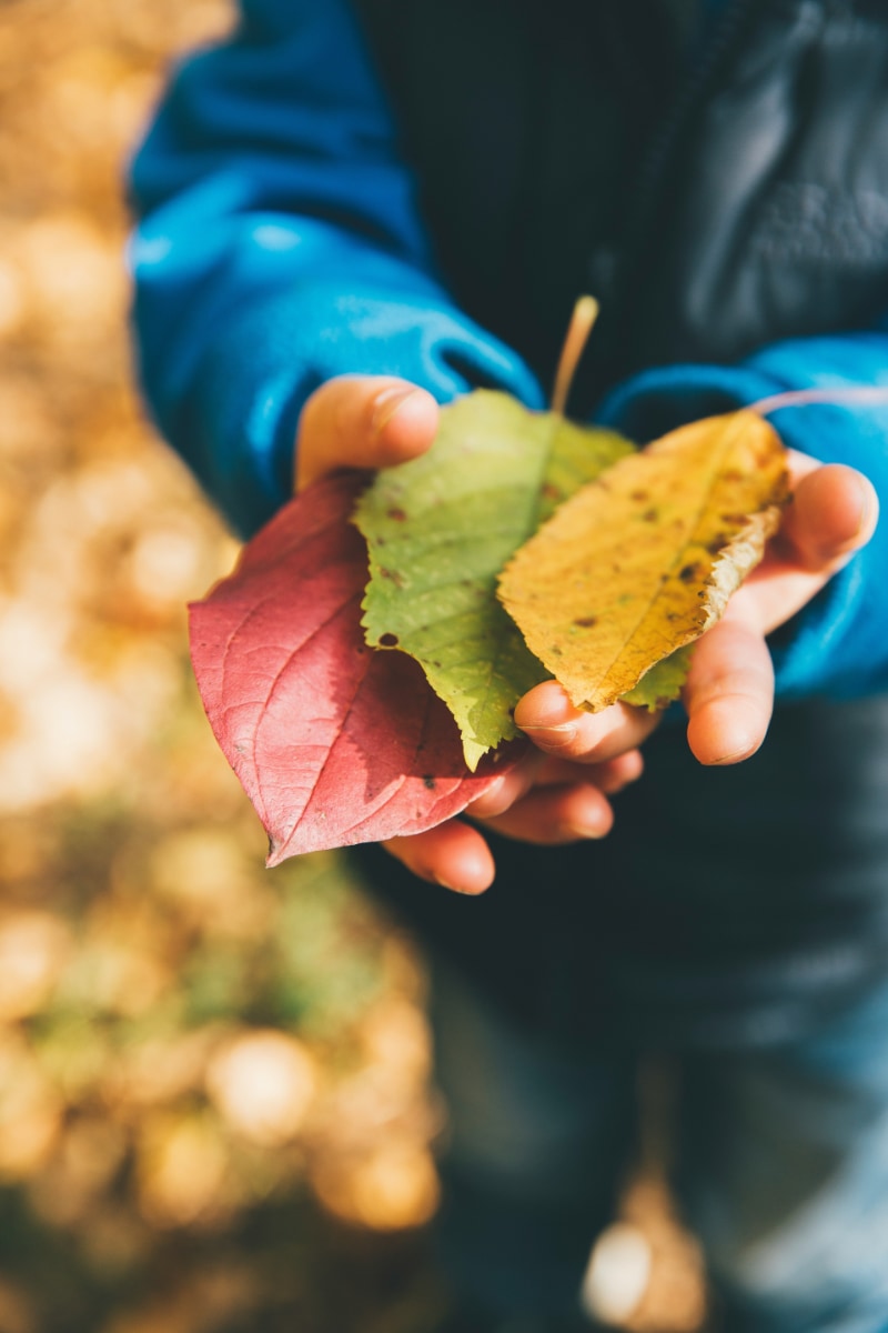 markus-spiske-DzgLAZXNFRo-unsplash